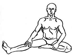 Йога-терапия. Новый взгляд на традиционную йога-терапию - doc2fb_image_0200003C.jpg