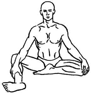 Йога-терапия. Новый взгляд на традиционную йога-терапию - doc2fb_image_02000041.jpg