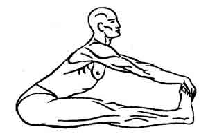 Йога-терапия. Новый взгляд на традиционную йога-терапию - doc2fb_image_0200007E.jpg