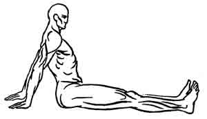 Йога-терапия. Новый взгляд на традиционную йога-терапию - doc2fb_image_02000081.jpg