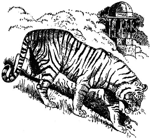 Храмовый тигр - i_003.png