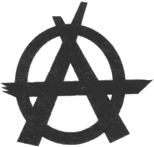 Антология современного анархизма и левого радикализма. Том 2 - i_001.png