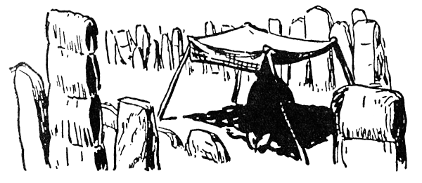 Охота за головами на Соломоновых островах - i_068.png